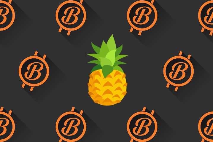 Pineapple Fund: Bitcoin at Service of Philanthropy