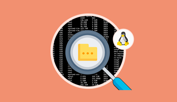 How To Search & Find Files with Commands on Linux