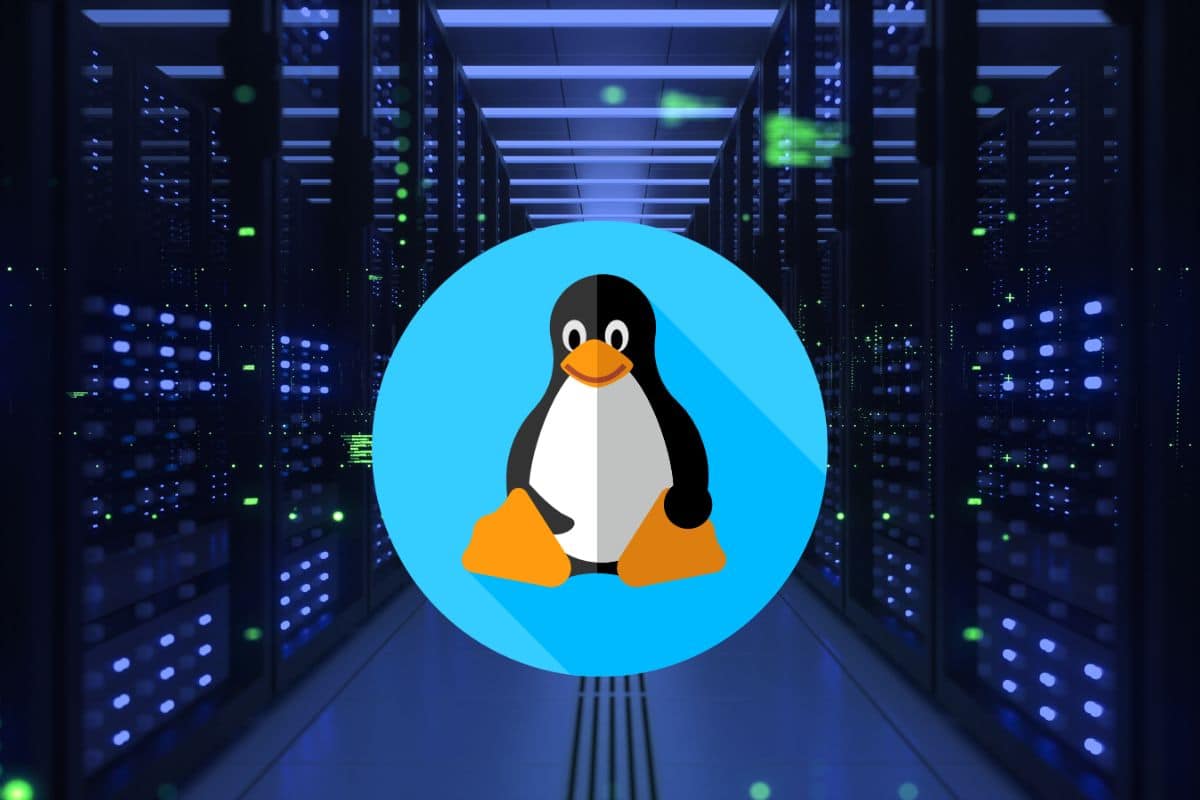 Linux Distros for Servers