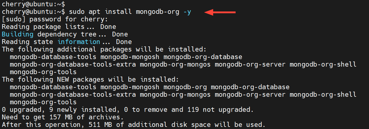 sudo apt install mongodb-org -y 